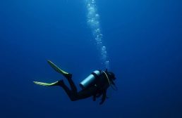 غواصی (Diving): دنیای زیر آب و قوانین حاکم بر آن